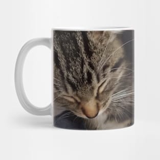 Kitten t-shirt Mug